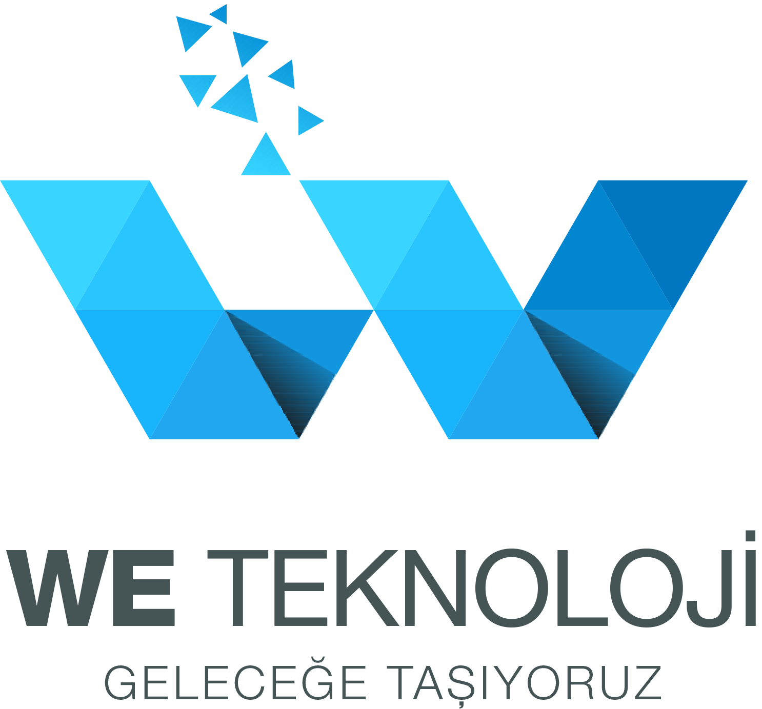 WE Teknoloji | Maipu Special Partner